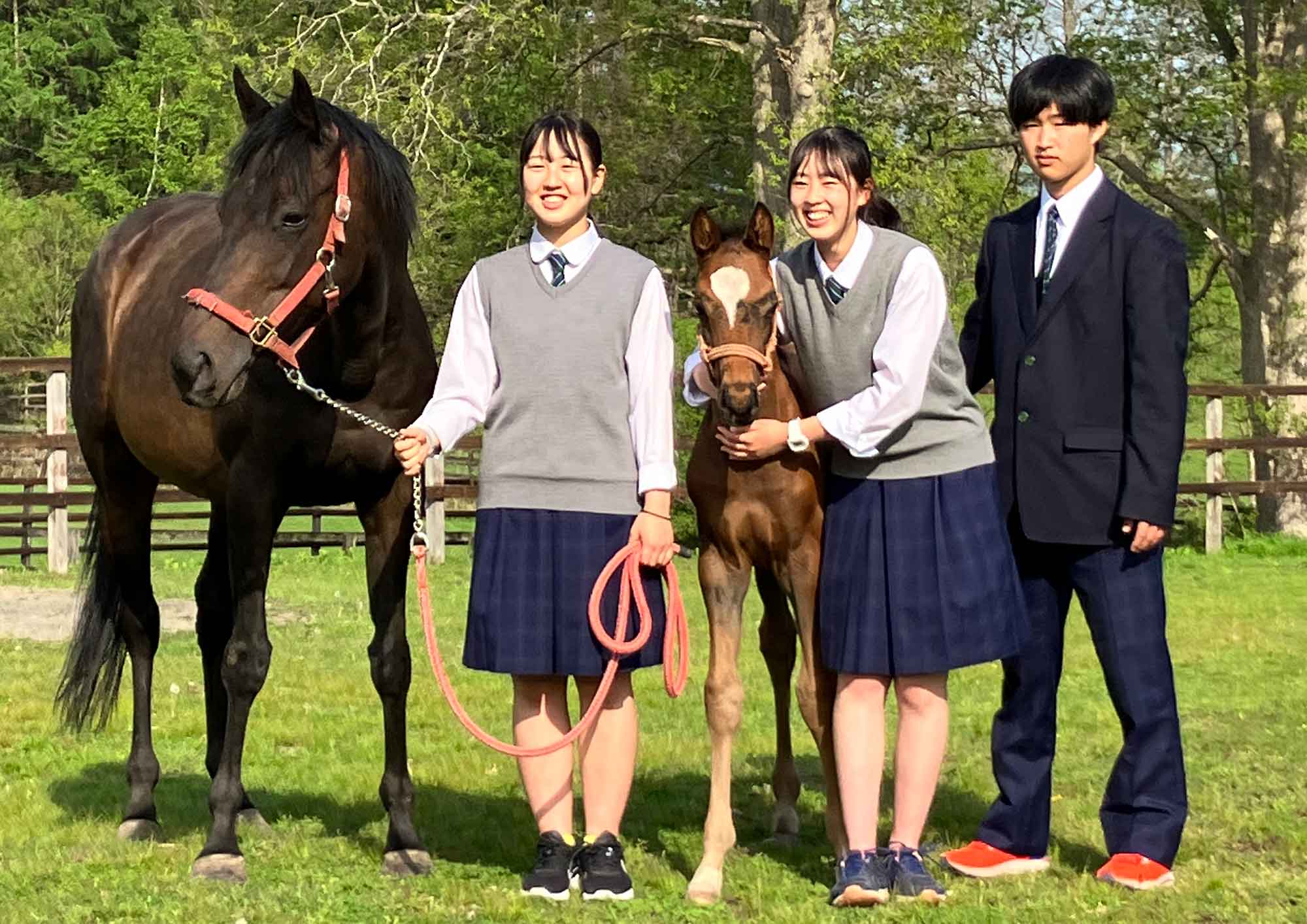 北海道立静内農業高等学校